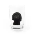 下田村の黒いトイプードル Water Glass :front