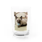 モカちゃんのMoca  Water Glass :front