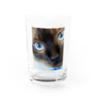 モカちゃんのMacaちゃん Water Glass :front