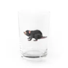 🐶シュナといろいろ🎨のタスマニアデビル Water Glass :front