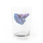 eigMCZ@TD4のシルビア Water Glass :front