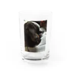 Sakupon1117のチョコ Water Glass :front