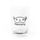 NeotenyのNeotenyロゴ Water Glass :front