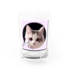 ぬくもふ屋　【猫 犬の似顔絵描き】のPuu Water Glass :front