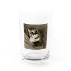 Kitty-Kitty(キティキティ)のどんぐりおめめの福ちゃん Water Glass :front