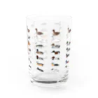 さくぺろの日本産カモ類全種 Water Glass :front