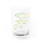 アングラースピリッツのブリの成長イラスト！ワカシ→イナダ→ワラサ→ブリ Water Glass :front