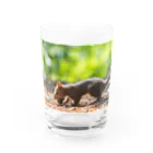 北海道アニマルグッズの元気いっぱいのエゾリス！ Water Glass :front