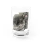 ショップの子猫 Water Glass :front