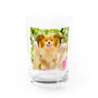 クリアスペットのisaac_dogstagram Water Glass :front