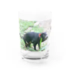 三毛猫のハシモトのタスマニアデビル(横) Water Glass :front