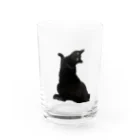 MiYABiの仰向けの猫 グラス前面