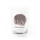 raraのゆるかわTシャツ屋さんのアメフクラガエル Water Glass :front