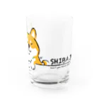 chizuruの柴犬かわいい。 Water Glass :front