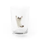 ラグドールのおうちの万歳ネコ Water Glass :front