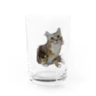 サクボウのめがくりくりのサックン Water Glass :front