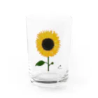 ShOkA's StoreのHimawariコレクション Water Glass :front