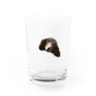 azuki_chiのあずきくん Water Glass :front