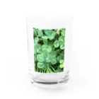 hia's photogalleryの自分らしさが幸せ Water Glass :front