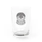 segasworksのうみのおともだち（ゴマフ） Water Glass :front