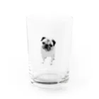 hanachobikoのかわいいパグリアル Water Glass :front