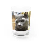 あこの実家の猫 Water Glass :front