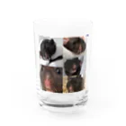 川沼池兄弟妹グッズの黒沼さん表情管理 Water Glass :front