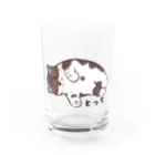 キジトラとっちさんのとっちのグラビア Water Glass :front