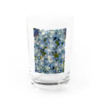 Dreamscape(LUNA)の中心部は・・・？ Water Glass :front