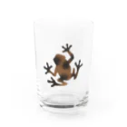 ツバメ堂の茶色いカエル Water Glass :front