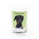 Liv🐾のDoberman Water Glass :front