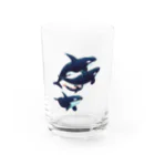 gomaphのシャチ群れ Water Glass :front