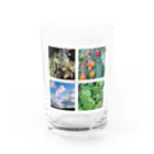aasのお盆　obon Water Glass :front