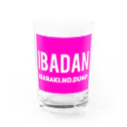 IBADANのイバダン　タンブラーピンク Water Glass :front