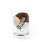 ニアちゃんとみぞれちゃんのニアちゃん　スーパーリラックス Water Glass :front