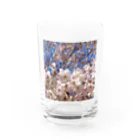 DayaKayaのいつでもどこでも桜爛漫 Water Glass :front