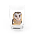 【CPPAS】Custom Pet Portrait Art Studioの可愛いメンフクロウ Water Glass :front