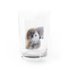 lino-himeのトイプードル Water Glass :front