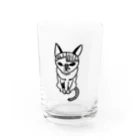 ねこの卵のおなかぱんぱんこちゃん Water Glass :front