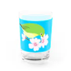 LalaHangeulの桜とメジロさん Water Glass :front