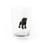 SHOP DYDO　のビャンチャン Water Glass :front