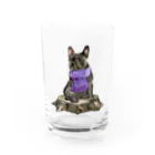 犬グッズの店しえるぶるーのマフラー犬　フレンチブルドッグ　ブリンドル Water Glass :front