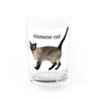 Siamese cat シャムのシャム猫海ちゃん Water Glass :front