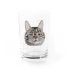 カナタ　フタバのキジトラ柄の猫 Water Glass :front