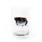 You and me !のあくびちゃん Water Glass :front