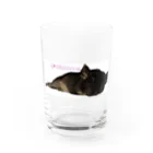 ナギ商店のおつかれ🐭しじみたん Water Glass :front