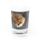 ぶちゃ猫・茶々丸オフィシャルショップのぶちゃ猫・茶々丸 Water Glass :front