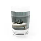 nokkccaのスワローズ - Swallows - Water Glass :front