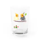 LittleLoroのどノーマルオカメインコとルチノーちょいわき 0350 Water Glass :front