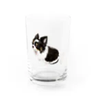 ぼのまめの大和くん (リボン無し) Water Glass :front